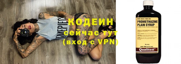 индика Красноперекопск