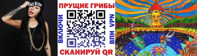 Купить Зуевка Галлюциногенные грибы Magic Shrooms